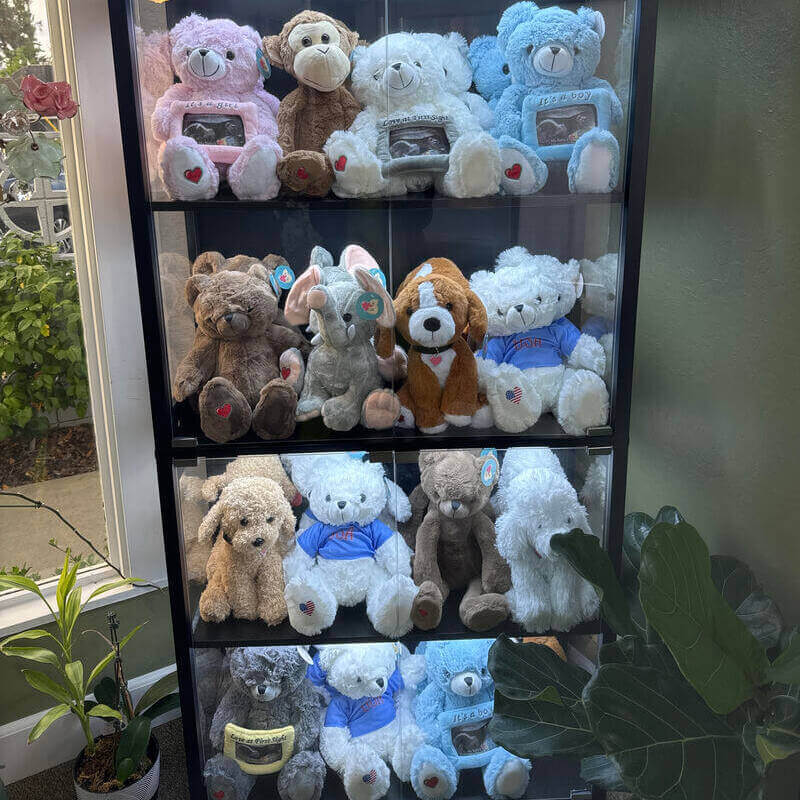 Image of a boutique collection of baby ultrasound heartbeat plush animals for sale in a glass cabinet.